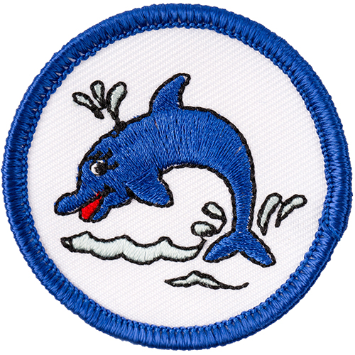 Delfin-Kurs